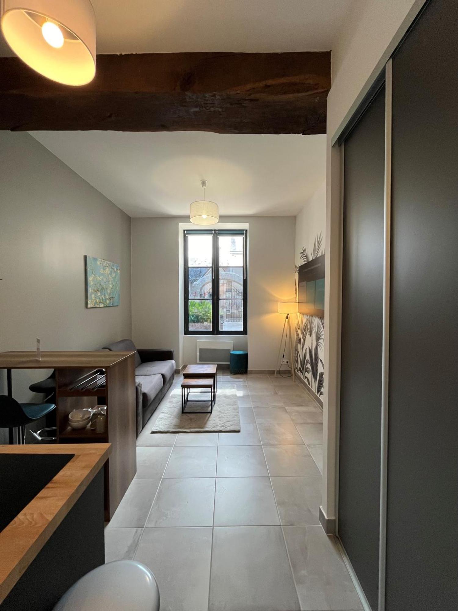 Ferienwohnung Quai De La Loire Blois Exterior foto