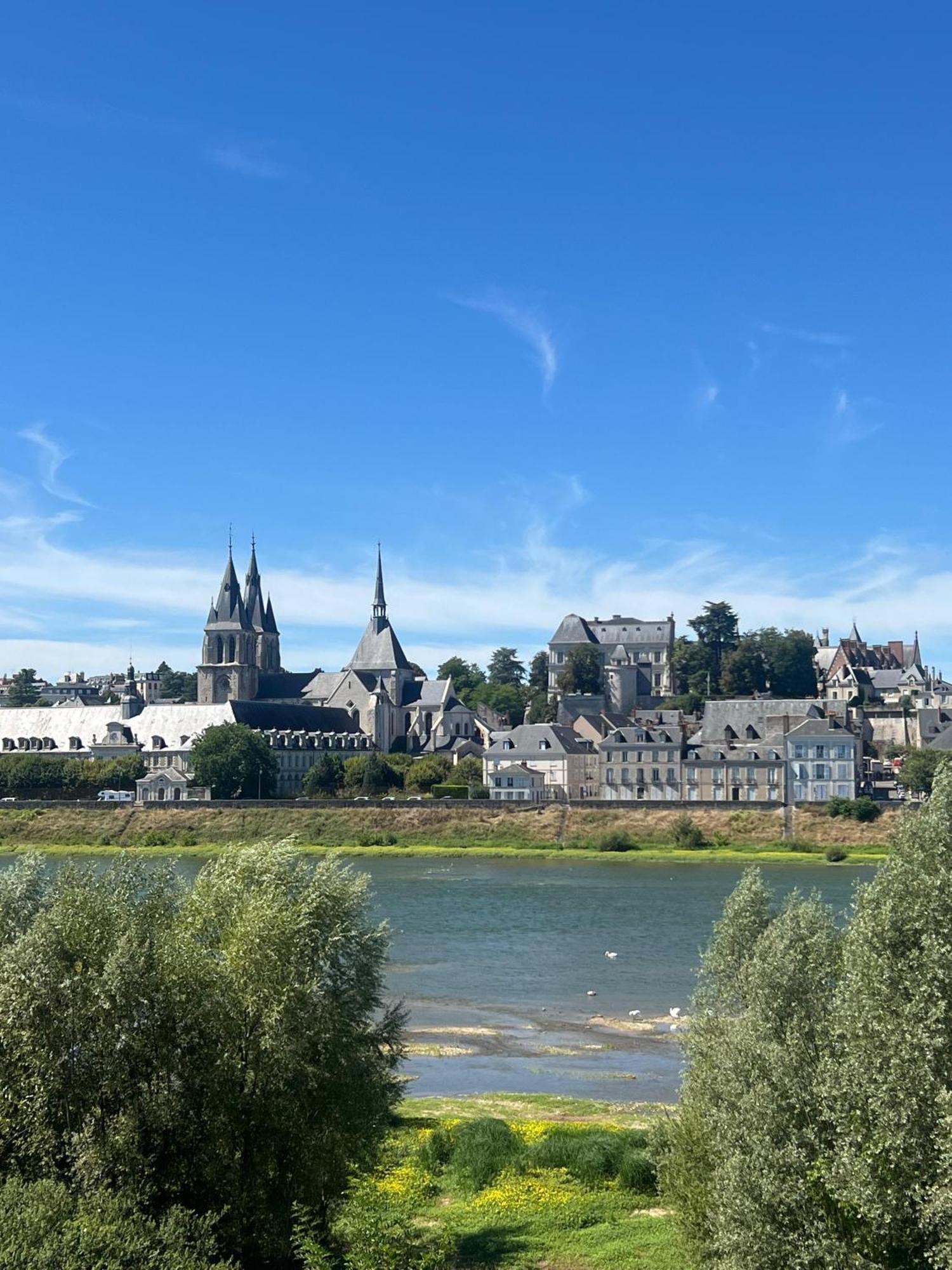 Ferienwohnung Quai De La Loire Blois Exterior foto