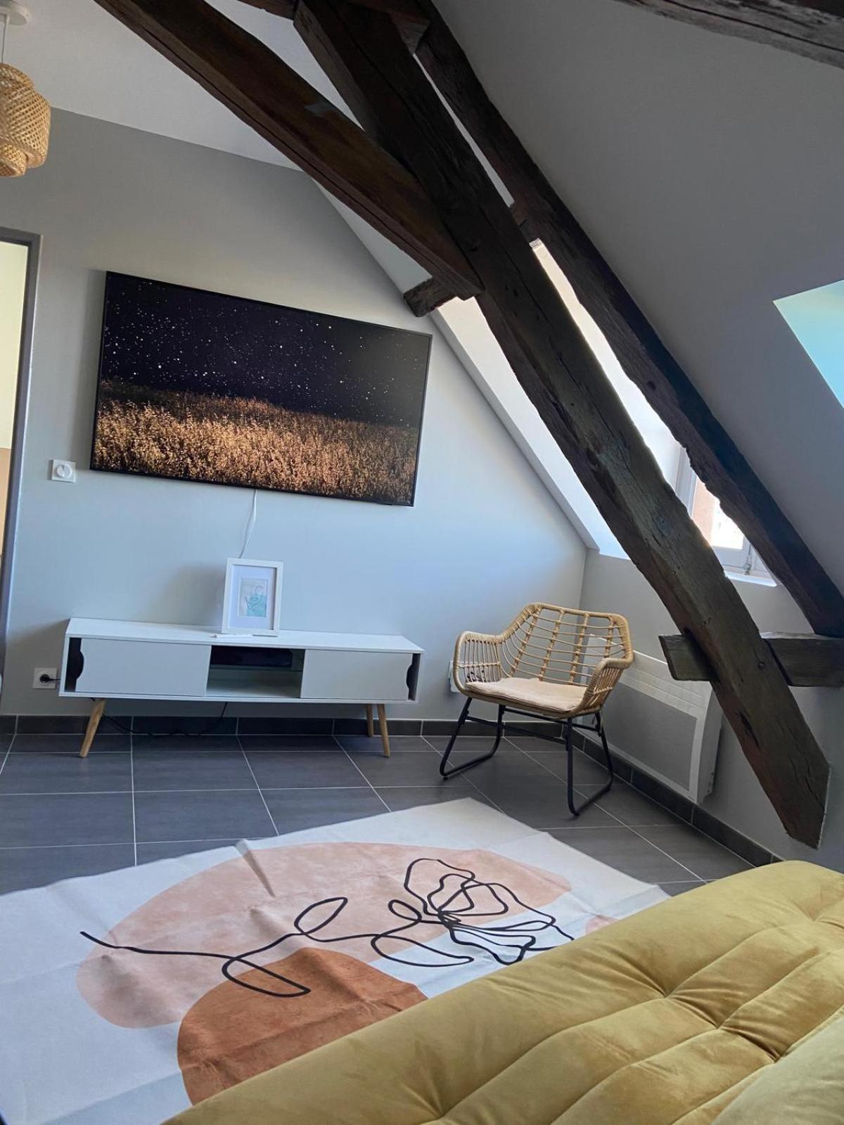 Ferienwohnung Quai De La Loire Blois Exterior foto